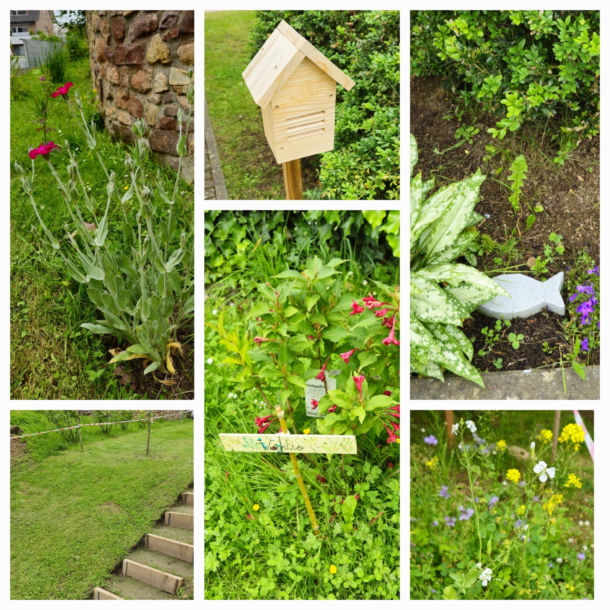 Bilder von Blumenbeeten