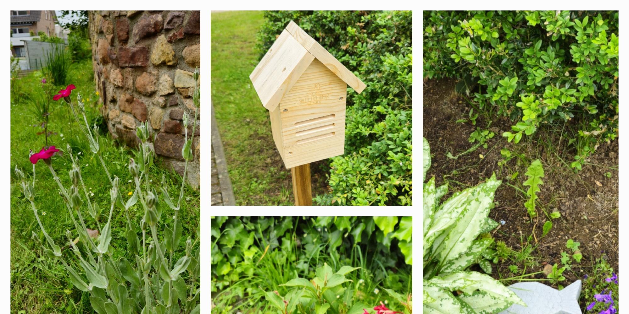 Bilder von Blumenbeeten