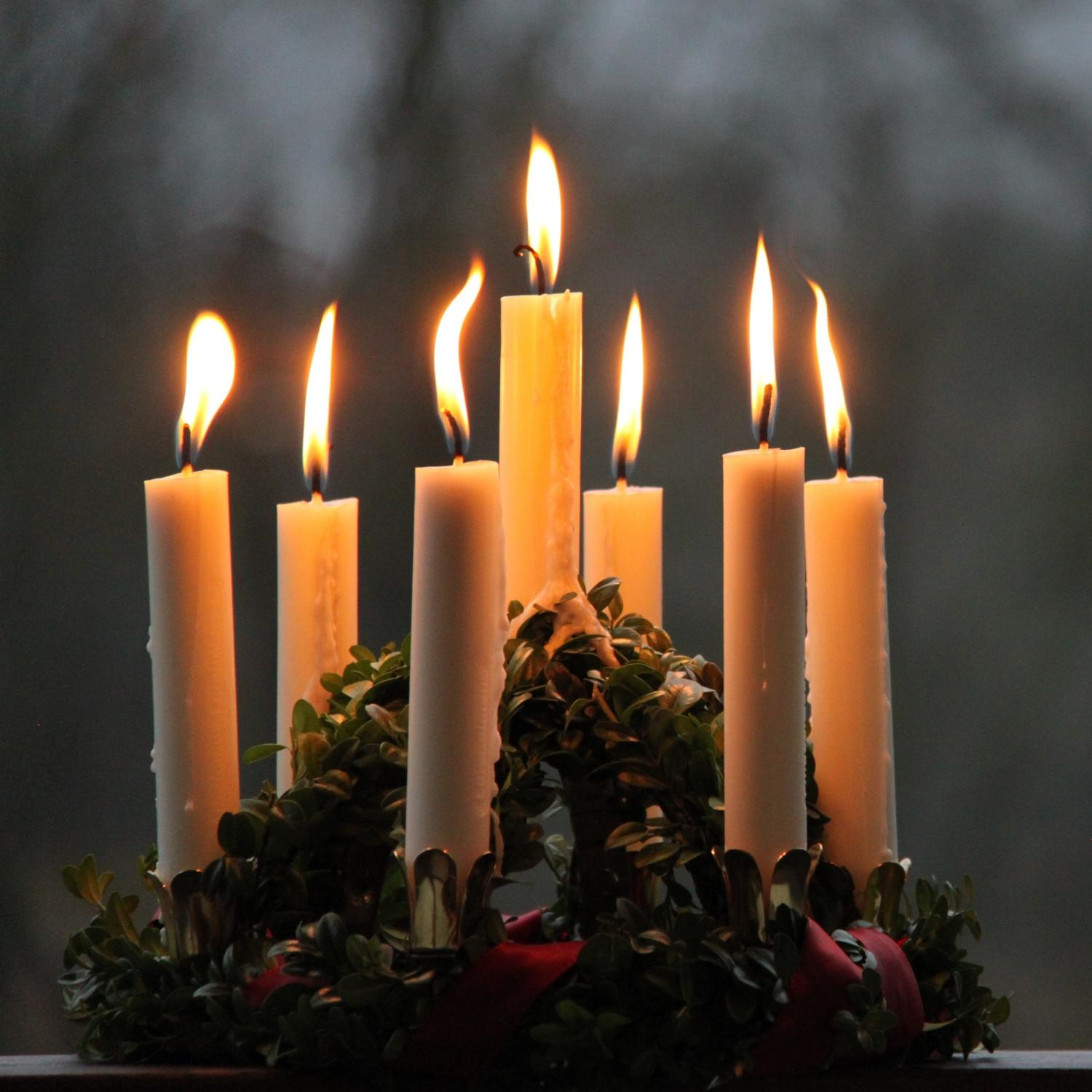 lucia-Christina-Zetterberg auf Pixabay