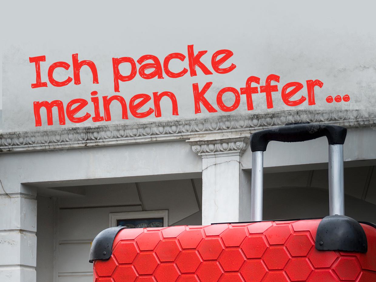 GoDi_Koffer_außen Kopie