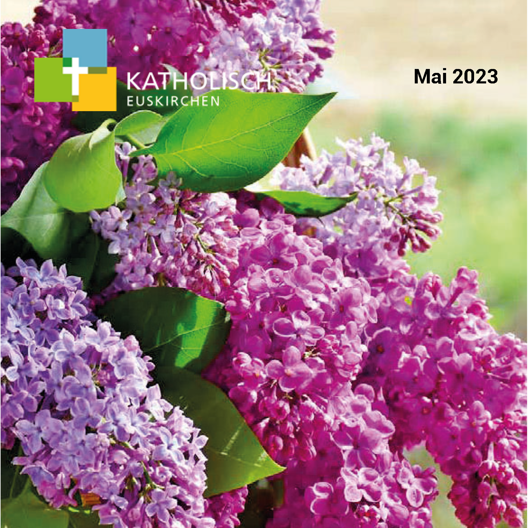 EINblick 2023-05