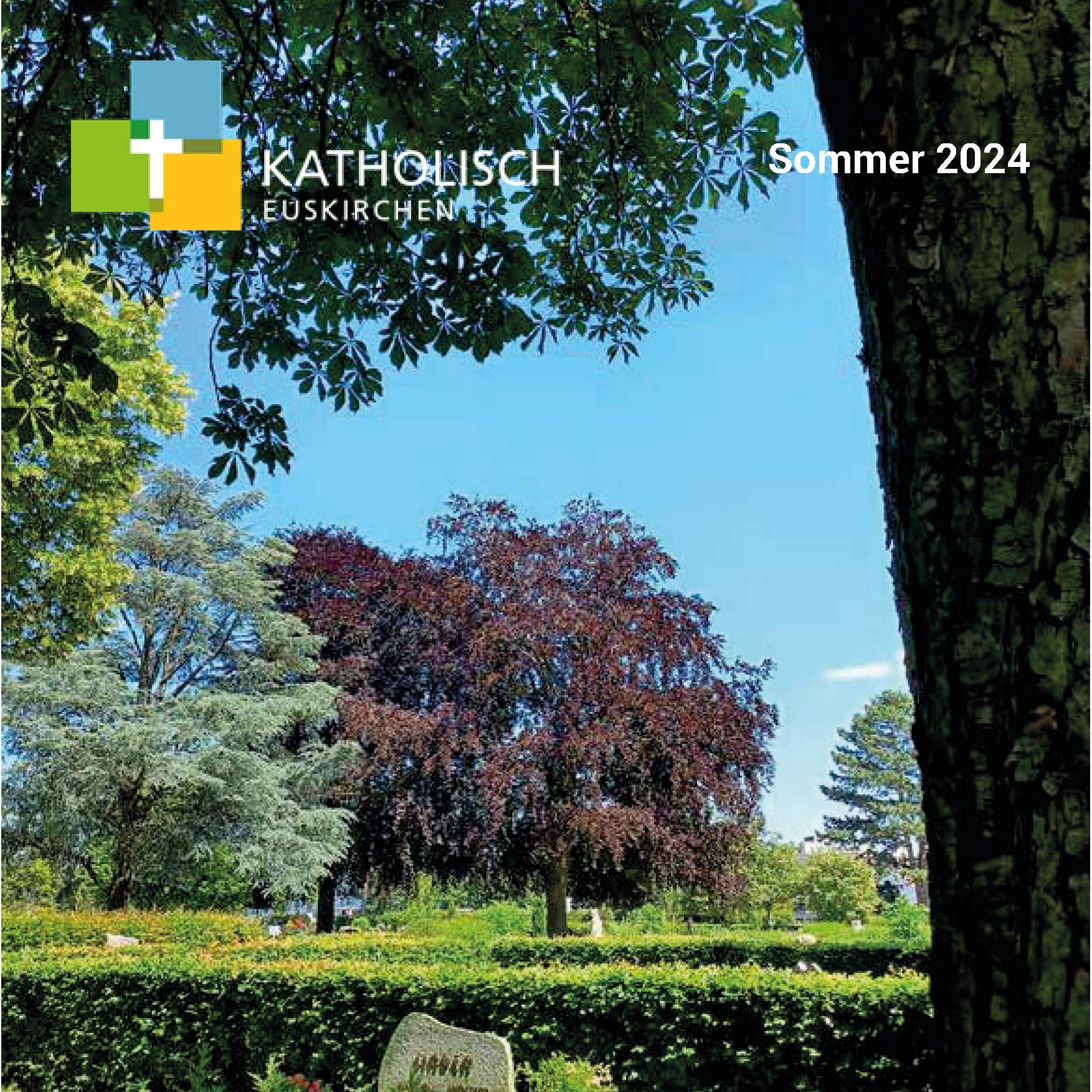 EINblick 2024 WEB Sommer