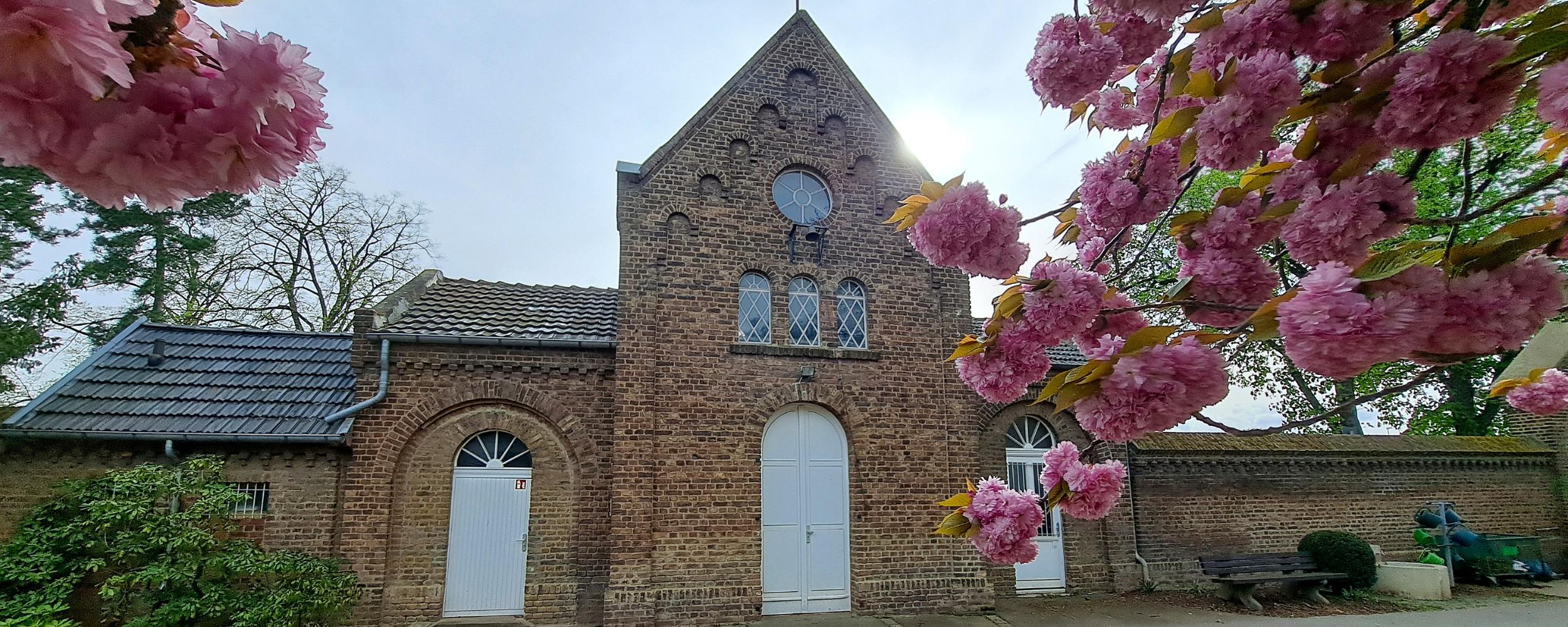 Lebendiger Friedhof