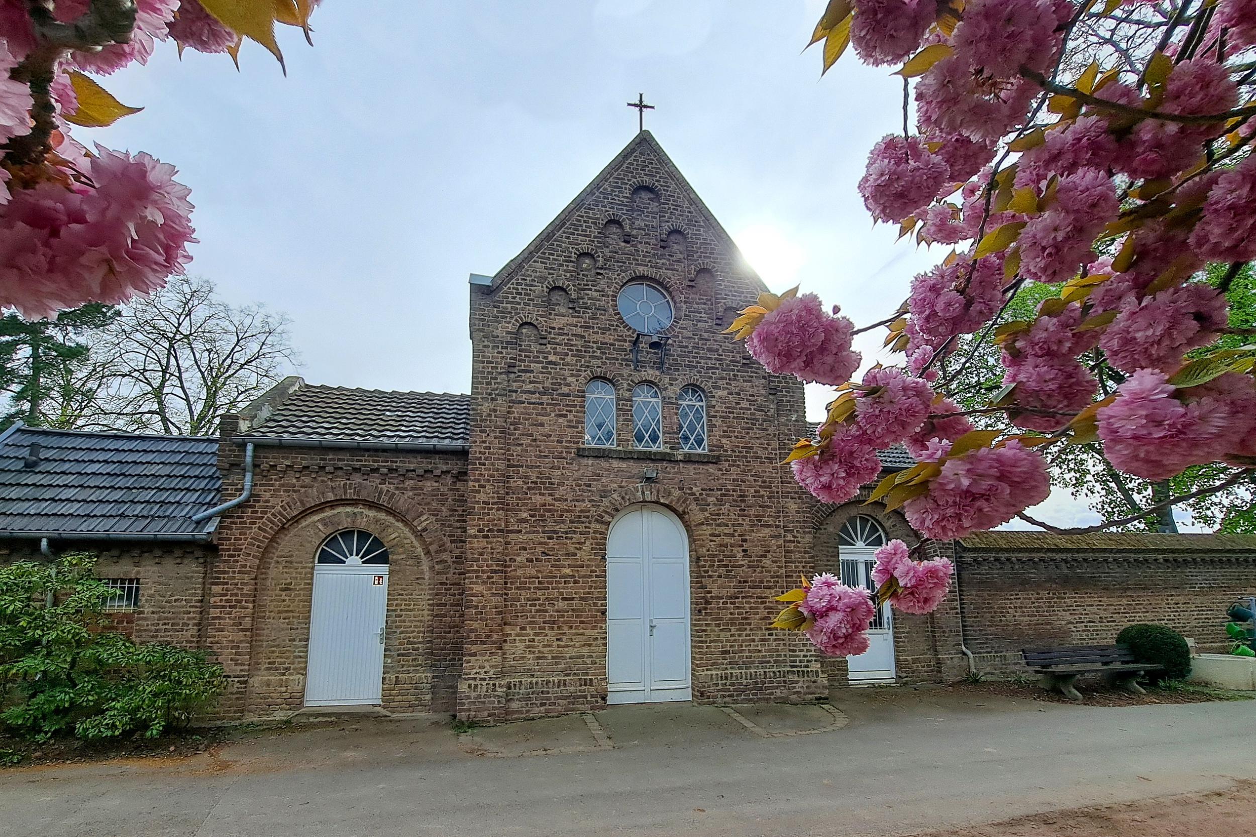 Lebendiger Friedhof