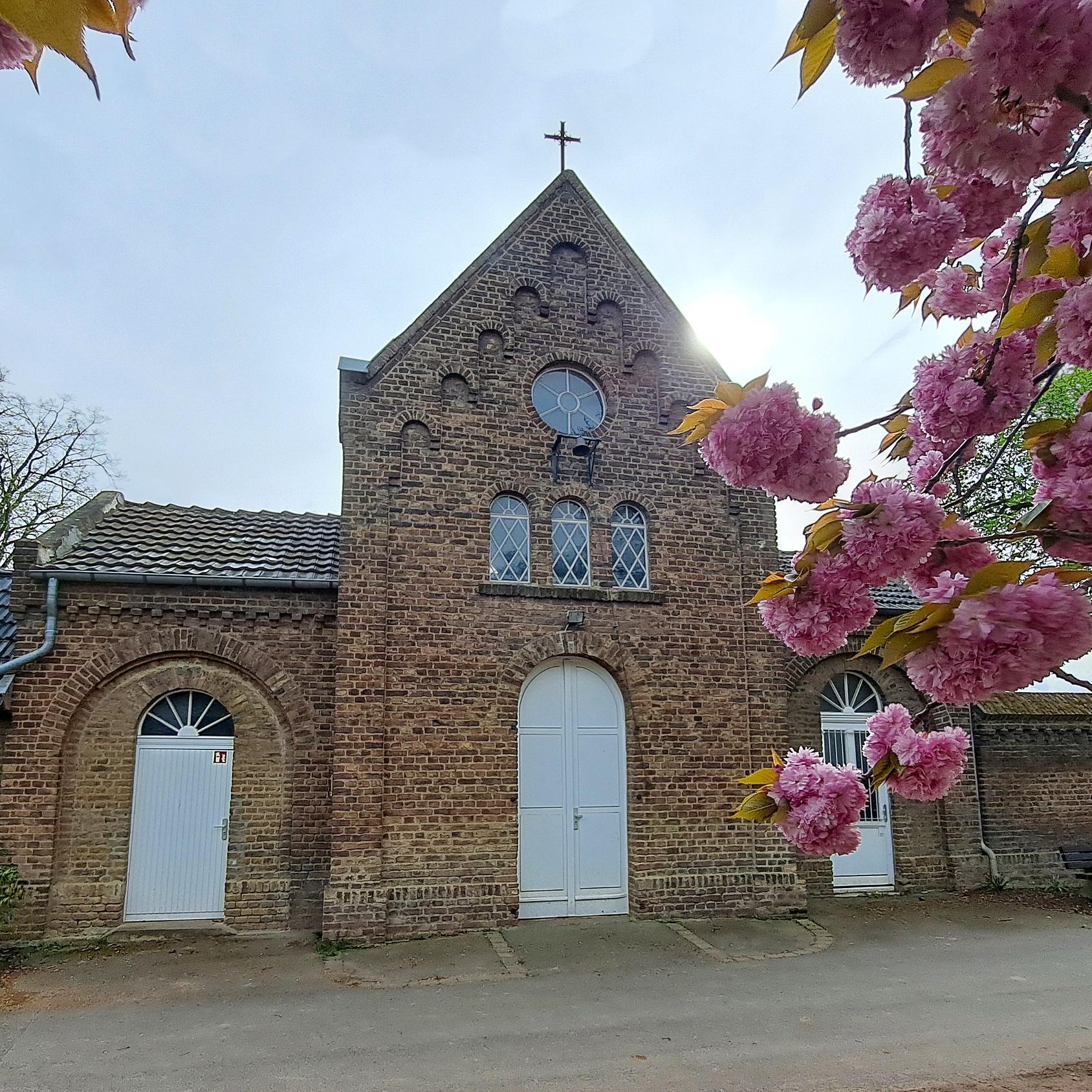 Lebendiger Friedhof