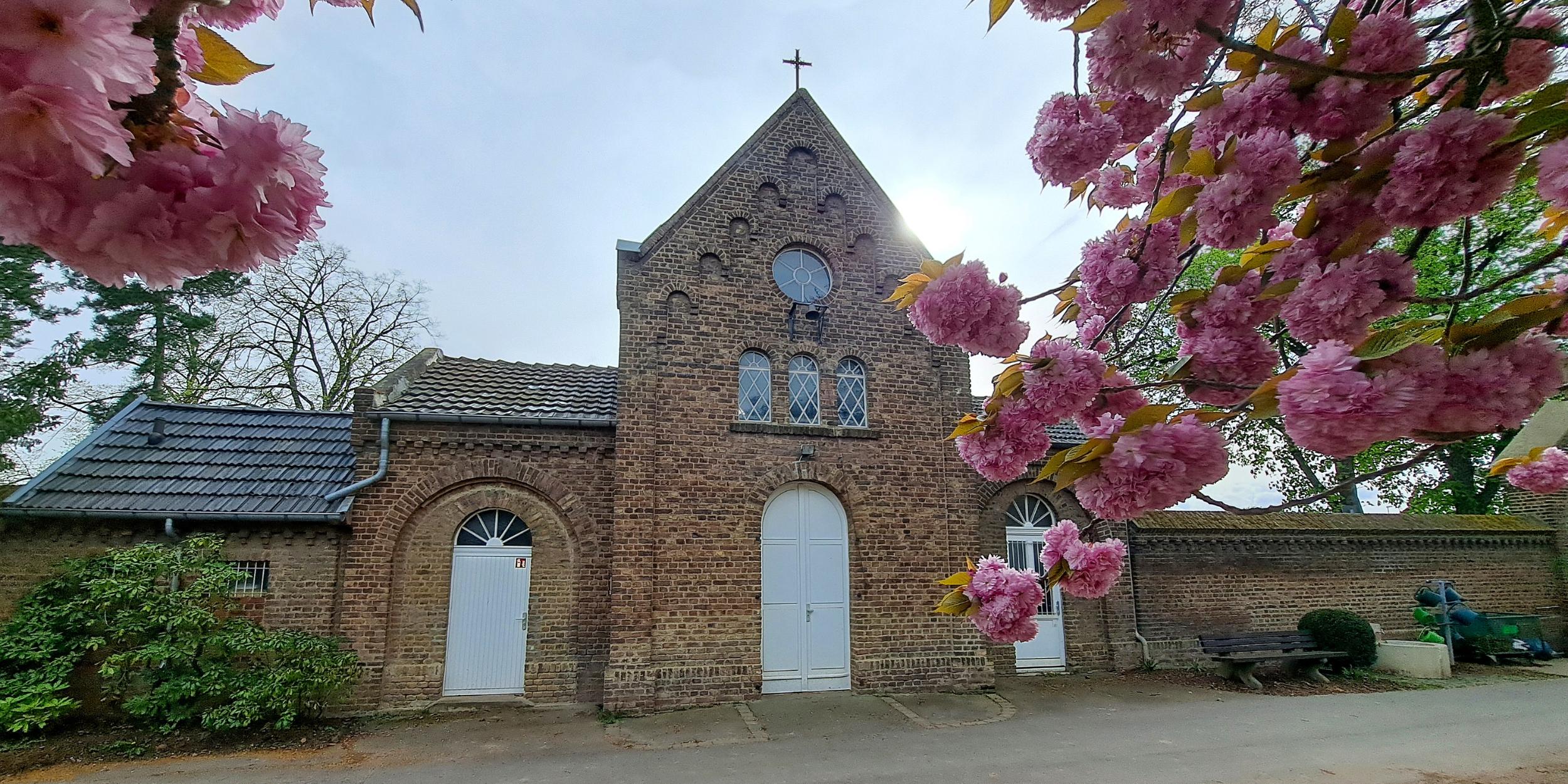 Lebendiger Friedhof