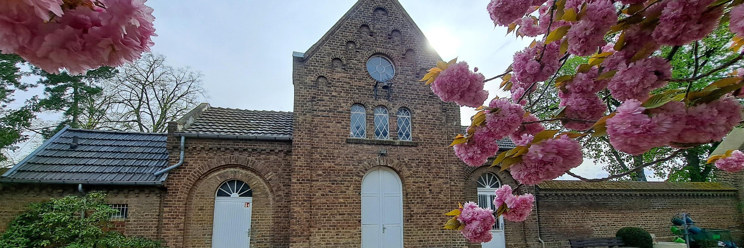 Lebendiger Friedhof